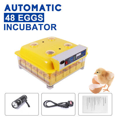AUTOMATICKÝ INKUBÁTOR 48 vajec - Líheň